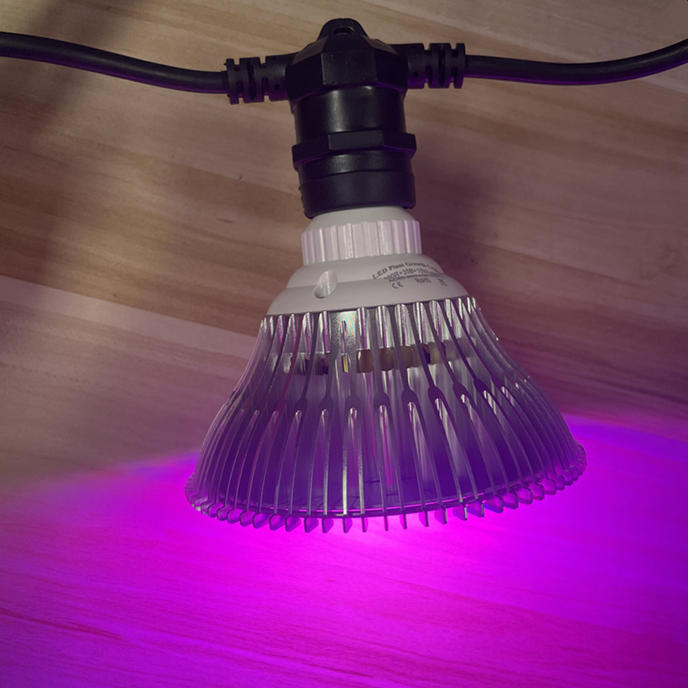 10M Kabel LED, komercyjna jako – Outdoor Lighting And Landscape recenzja i cena